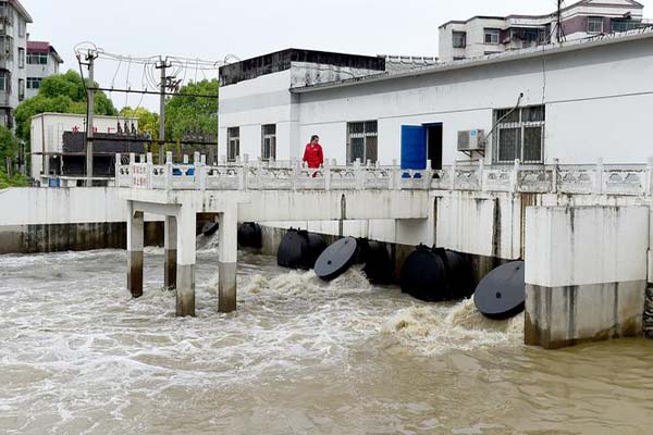 Máy bơm dòng chảy hướng trục có thể điều chỉnh tốc độ bền bỉ cho nuôi trồng thủy sản